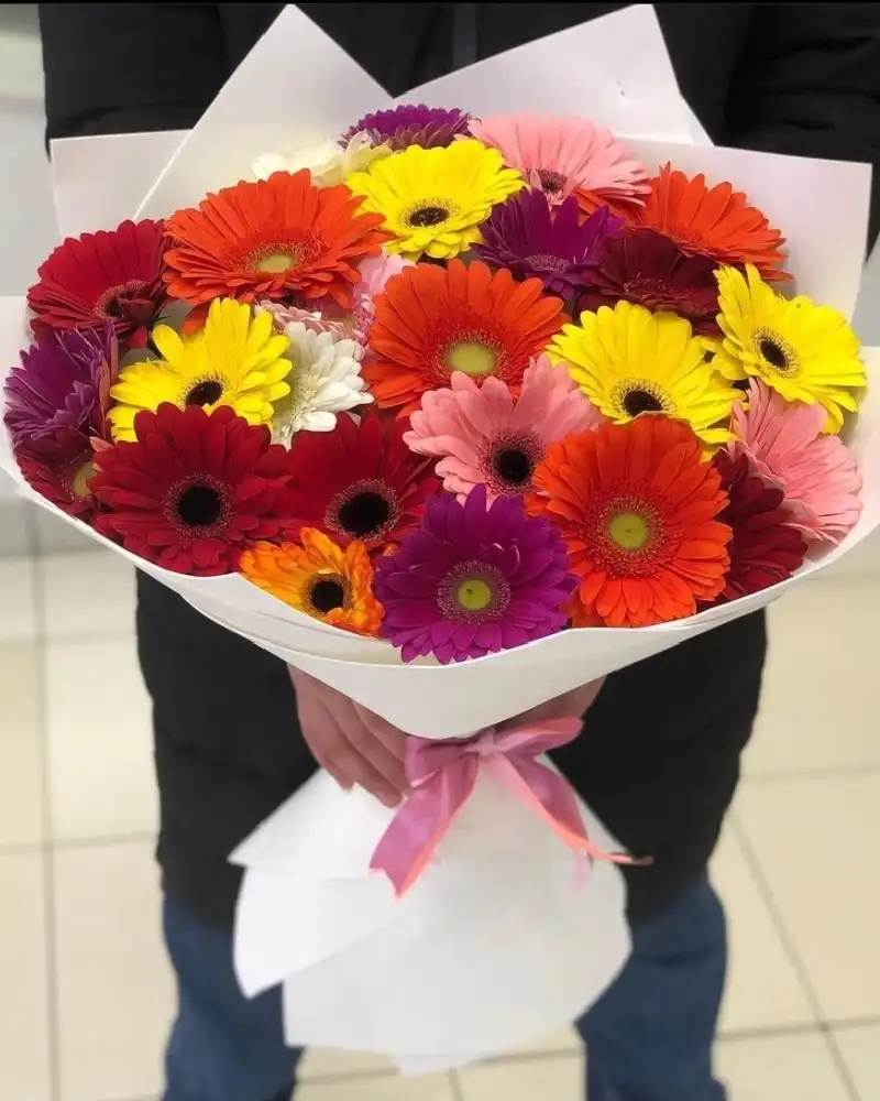 GERBERA BUKET